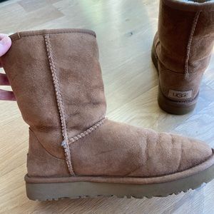 Uggs Authentic Chestnut Uggs 6